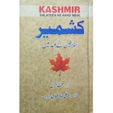 Kashmir Salateen Ke Ahad Mein