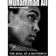 The Soul of a Butterfly: Reflections on Lifes Journey