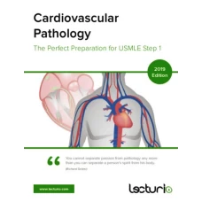 Cardiovascular Pathology – The Perfect Preparation for USMLE Step 1
