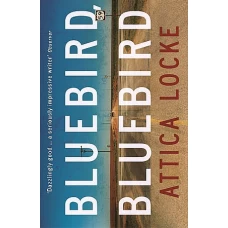 Bluebird, Bluebird (Highway 59) by ATTICA LOCKE