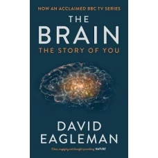 The Brain The Story Of You By David Eagleman